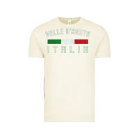 Vintage Arctic valle d'aosta italia italy region typography design Vintage Tee - ArtChic
