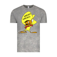 Cloud Rock speedy gonzales arriba Vintage Tee - FloraArt