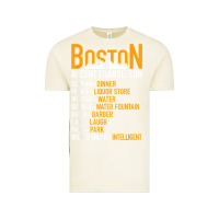 Vintage Arctic wicked smaht boston accent translator bostonians gifts shirt Vintage Tee - FloraArt