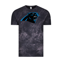Cloud Black thesportcarolinapantherslogo Vintage Tee - FloraArt