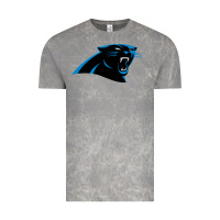 Cloud Rock thesportcarolinapantherslogo Vintage Tee - FloraArt