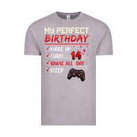 Vintage Zinc 14 Year Old Gamer Gift Boy Teen 14th Perfect Birthday Gaming Vintage Tee - trangStudio