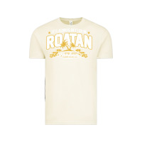 Vintage Arctic Roatan Honduras Souvenir Roatan Gift Travel Vintage Tee - trangStudio