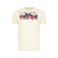 Vintage Arctic fourth of july american flag Vintage Tee - RanaPortraitStore