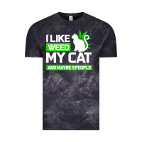 Cat Weed I Like My Cat Gift Vintage Tee | Teevron
