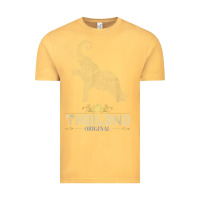 Thai Flag Vacation Bangkok Travel Thailand Vintage Tee | Teevron