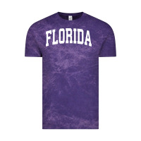 Cloud Purple Florida Crewneck Sweatshirt Sports College Style State Gifts Vintage Tee - minhPixels
