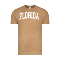 Vintage Camel Florida Crewneck Sweatshirt Sports College Style State Gifts Vintage Tee - minhPixels