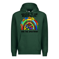 Sports Green Autism rainbow Premium Hoodie - FaDigitalArtStudio