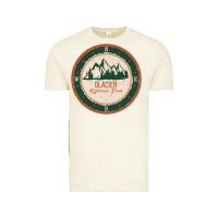 Vintage Arctic Glacier National Park Vintage Tee - minhPixels