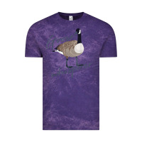 Cloud Purple Canadian Goose Whisperer Shirt Funny Cute Bird Hunter Gift 2 Vintage Tee - minhPixels