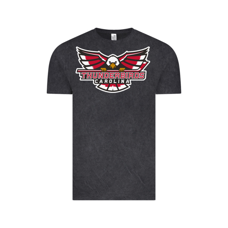 Carolina Thunderbirds Vintage Tee by minhPixels | Teevron