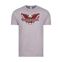 Vintage Zinc carolina thunderbirds Vintage Tee - minhPixels