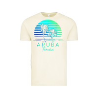 Vintage Arctic Vintage Aruba Beach Tropical Vibes Vacation Souvenir Gift Vintage Tee - minhPixels