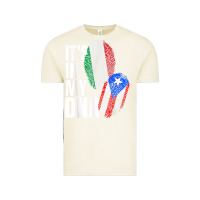 Vintage Arctic Italian And Puerto Rican DNA Mix Flag Heritage Gift Vintage Tee - minhPixels