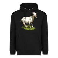Black cashmere goat Heavyweight Hoodie - LillyAllenDesigns