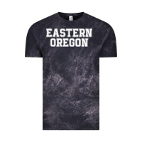 Eastern Oregon Athletic University College Alumni Vintage Tee | Teevron