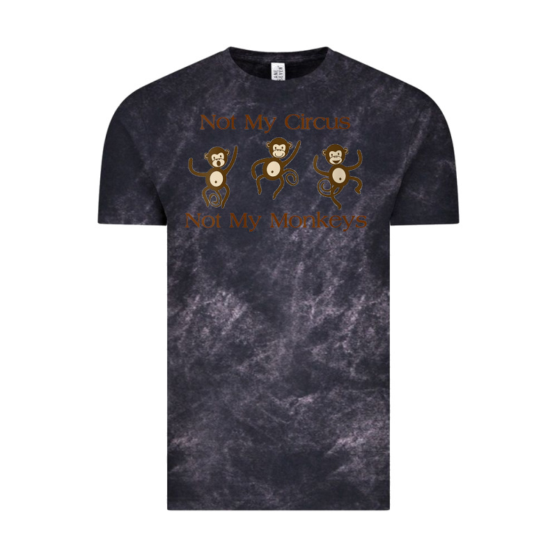 Womens Not My Circus Not My Monkeys Gifts - Funny Political Novelty V- Vintage Tee by minhPixels | Teevron