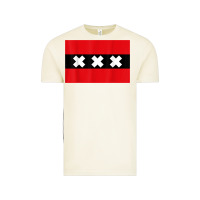 Vintage Arctic amsterdam flag souvenir heritage travel gift t shirt Vintage Tee - minhPixels