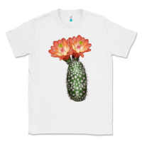White King Cup Cactus Classic Tee - LillyAllenDesigns