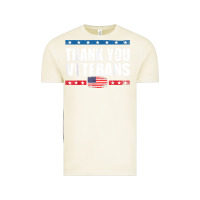 Vintage Arctic Shirts For Veterans, Thank You Veterans Shirt Veterans Day Vintage Tee - lanVoArt