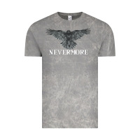 Hot Trend Raven Nevermore Poetry Halloween Edgar Allan Poe Vintage Tee | Teevron