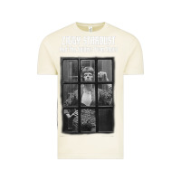 Vintage Arctic great⭐ david⭐bowie ⭐1 Vintage Tee - lanVoArt