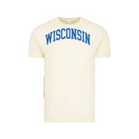 Vintage Arctic wisconsin blue Vintage Tee - lanVoArt