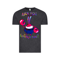 Vintage Black Funny Men Are You Feeling It Now Mr Krabs Gifts For Music Fans 1 Vintage Tee - lanVoArt