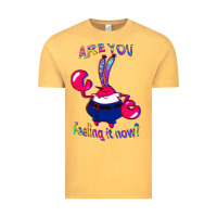 Funny Men Are You Feeling It Now Mr Krabs Gifts For Music Fans 1 Vintage Tee | Teevron