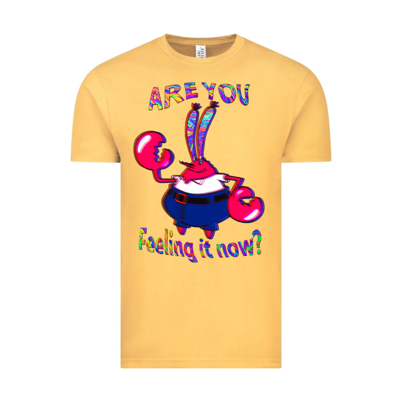 Funny Men Are You Feeling It Now Mr Krabs Gifts For Music Fans 1 Vintage Tee by lanVoArt | Teevron