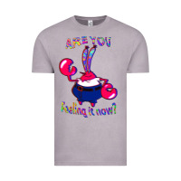 Vintage Zinc Funny Men Are You Feeling It Now Mr Krabs Gifts For Music Fans 1 Vintage Tee - lanVoArt