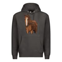 Smoke brown horse Premium Hoodie - RanaPortraitStore