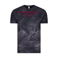 Cloud Black springfield college Vintage Tee - lanVoArt