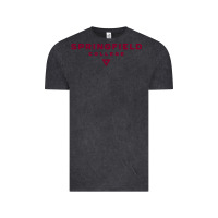 Vintage Black springfield college Vintage Tee - lanVoArt
