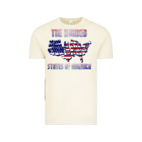 Vintage Arctic the divided states of america political humor usa map t shirt Vintage Tee - lanVoArt