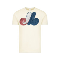 Vintage Arctic montreal expos Vintage Tee - lanVoArt