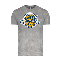 Cloud Rock the charleston riverdogs Vintage Tee - lanVoArt