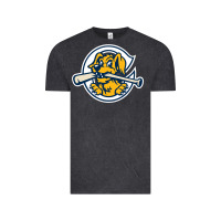 The Charleston Riverdogs Vintage Tee | Teevron