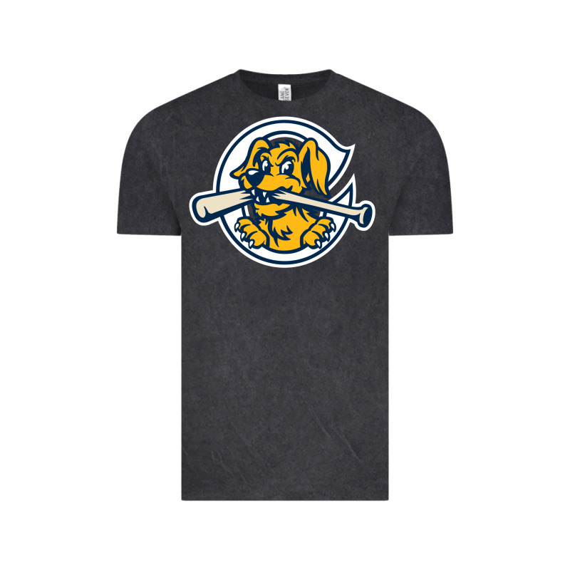 The Charleston Riverdogs Vintage Tee by lanVoArt | Teevron