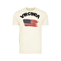 Vintage Arctic VIRGINIA Vintage Tee - Bettercallsaul