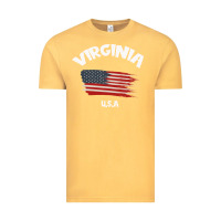 Virginia U.s.a Vintage Tee | Teevron