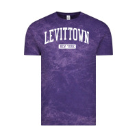 Levittown New York Ny Vintage Athletic Sports Design T Shirt Vintage Tee | Teevron
