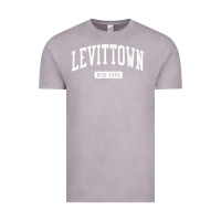 Vintage Zinc levittown new york ny vintage athletic sports design t shirt Vintage Tee - lanVoArt