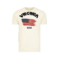 Vintage Arctic VIRGINIA U.S.A Vintage Tee - Bettercallsaul