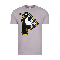 Vintage Zinc pittsburgh combined sports shirt and sticker Vintage Tee - lanVoArt