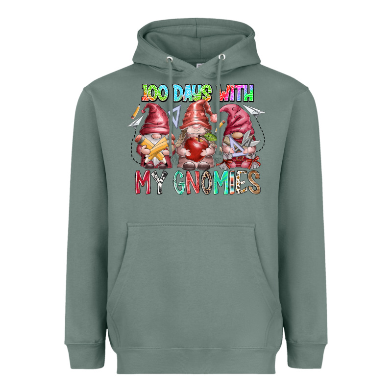 100 Days With My Gnomies Heavyweight Hoodie by RacoonDesign | Teevron