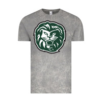 Cloud Rock piedmont college lions Vintage Tee - tuanDangUi
