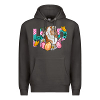 Hop Bunny Easter Premium Hoodie | Teevron