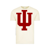 Vintage Arctic indiana hoosiers Vintage Tee - tuanDangUi